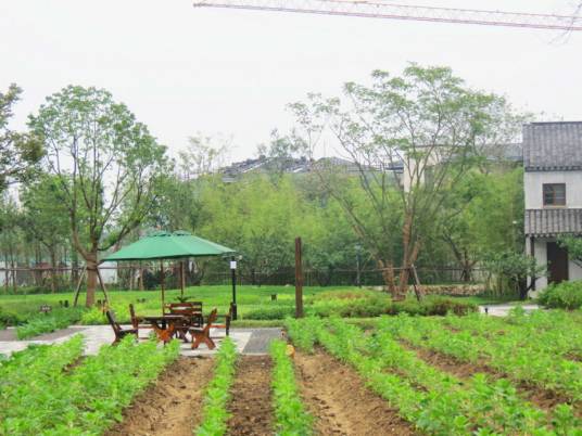 田园主义(哲学领域术语)