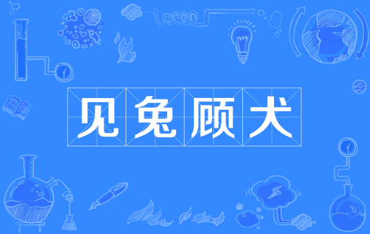 见兔顾犬