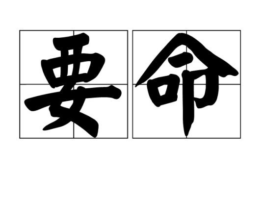 要命（汉字词组）