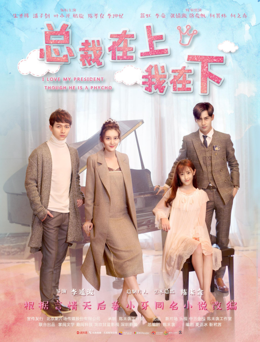 总裁在上我在下（2017年李遥波执导的电视剧）