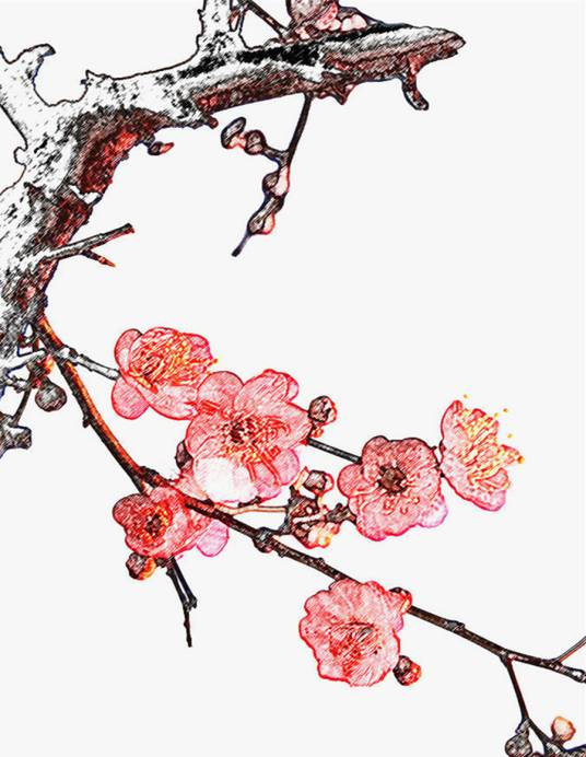 傲骨（词语概念）