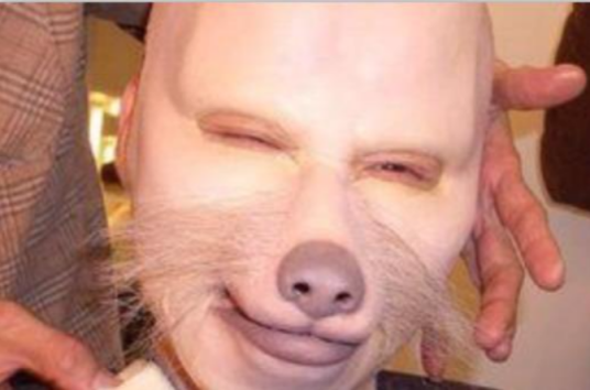 易容术（化妆技巧）