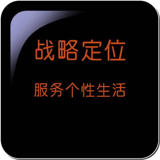 战略定位（具有攻击性的市场准定位）