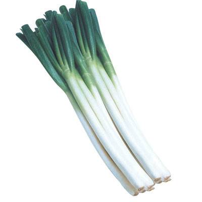 葱白（中药）
