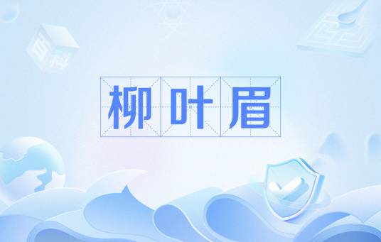 柳叶眉（眉型）