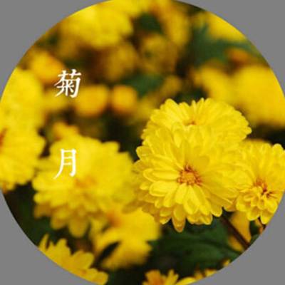 菊月（汉语词语）