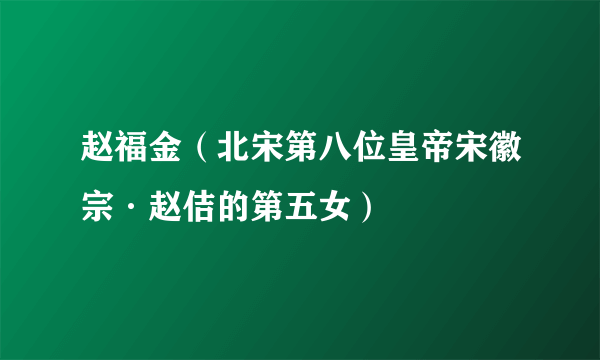 赵福金（北宋第八位皇帝宋徽宗·赵佶的第五女）
