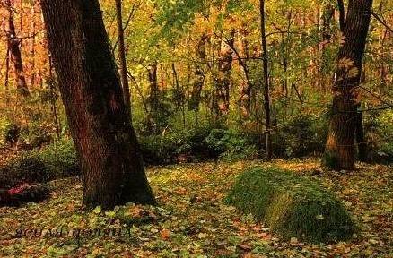 世间最美的坟墓