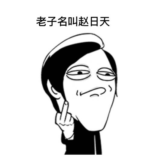 赵日天（网络虚拟人物，网络红人）