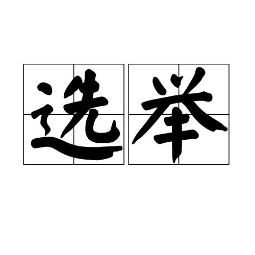 选举(推举代表或者主要负责人的活动)
