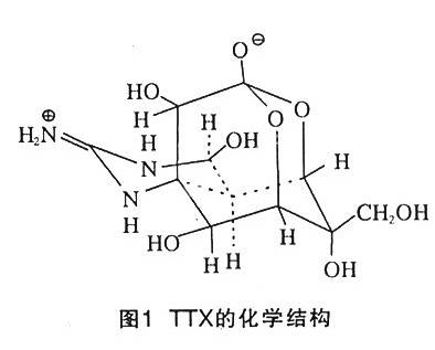 TTX（石泰集团旗下德国品牌）