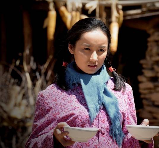 贺秀莲(小说《平凡的世界》及其衍生作品中的角色)