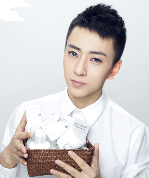 师洋（中国内地男歌手、主持人）