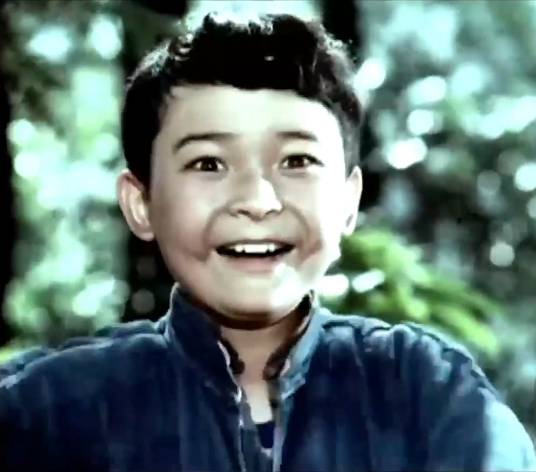 潘冬子（1974年电影《闪闪的红星》中的角色）