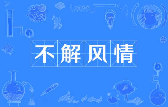 不解风情（词语）