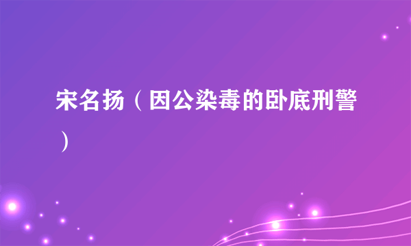 宋名扬（因公染毒的卧底刑警）