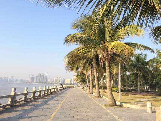 情侣路(中国广东省珠海市境内的城市主干路)