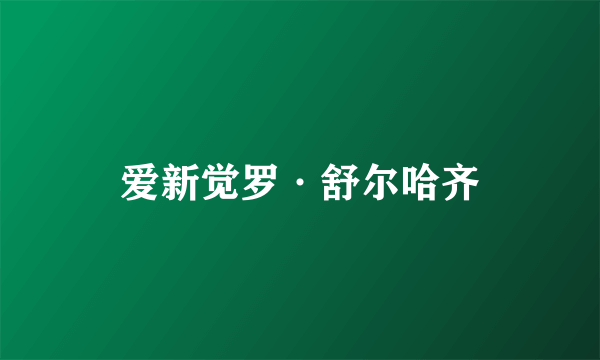 爱新觉罗·舒尔哈齐