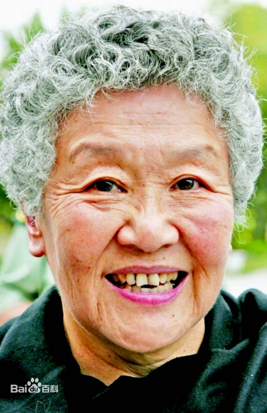 吴青(北京外国语大学教授)