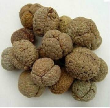 草豆蔻(中药名)