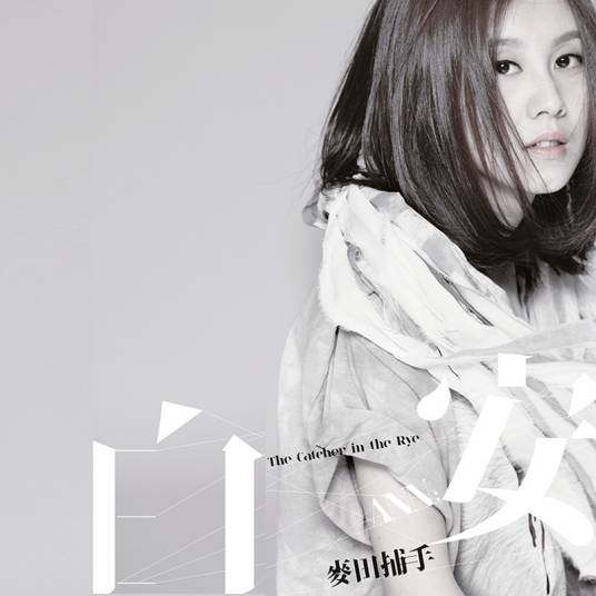 是什么让我遇见这样的你(2012年白安演唱的歌曲)