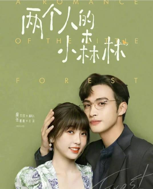 两个人的小森林（2022年蔡聪执导的都市爱情剧）