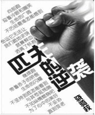 匹夫的逆袭（骁骑校的小说）