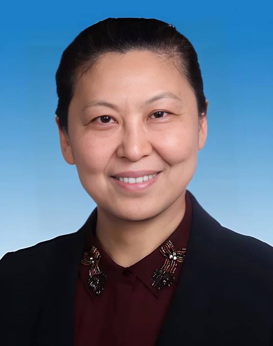 冯丹（华中科技大学副校长）