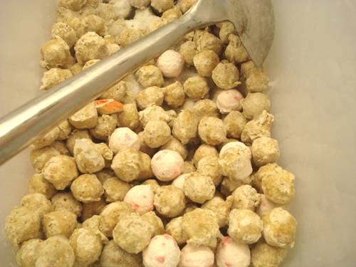 速冻食品(冷冻保存的食品)