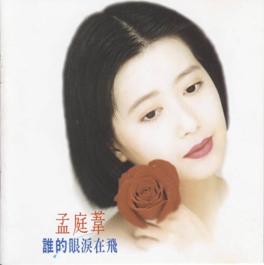 谁的眼泪在飞（孟庭苇演唱的歌曲）