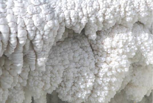 盐矿（海滩、盐湖边或盐井旁制盐的场所）