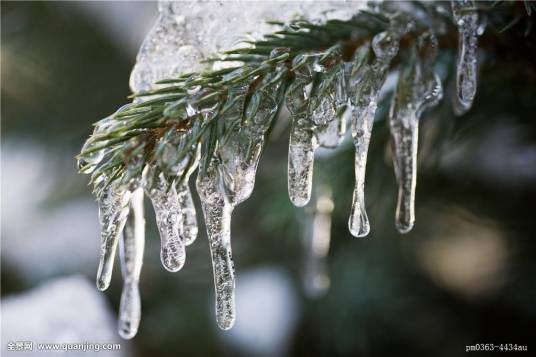 冰冻（汉语词汇）