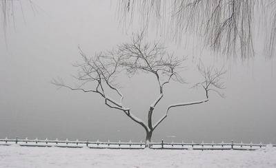 第一场雪（峻青创作散文）