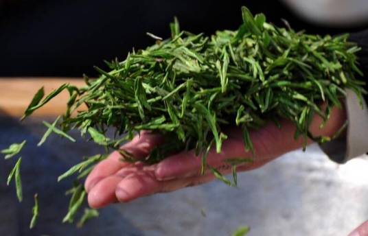 炒茶(茶叶制作工序)