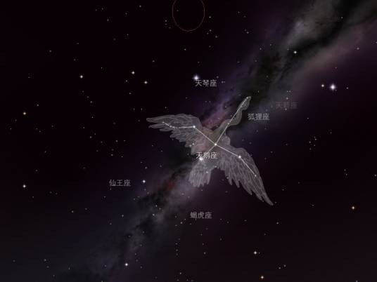 天鹅座（天文学星座）