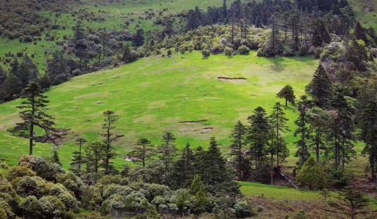高山牧场（景区）