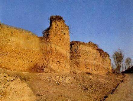 黄土（沉积物的一种）