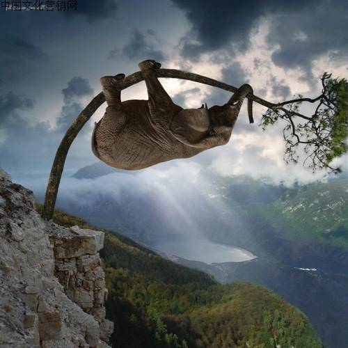 逆境（汉语词汇）