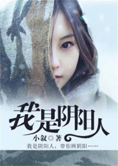 我是阴阳人（小叙创作的都市类网络小说）