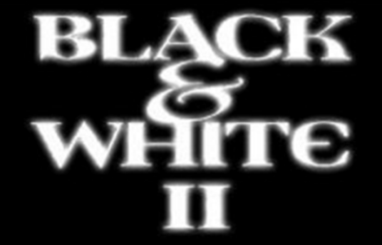 黑与白2