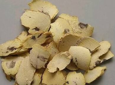 关木通（中草药）