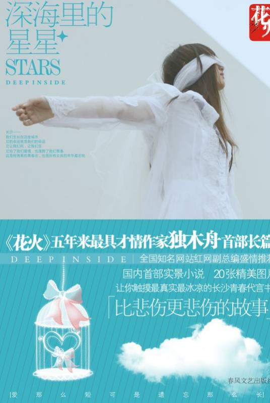 深海里的星星（2009年春风文艺出版社出版的图书）