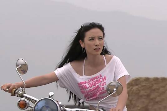 高岚（电视剧《神话》女主角）