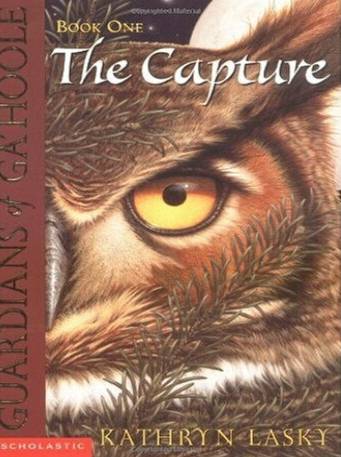 猫头鹰王国（凯瑟琳·拉丝基著系列小说）