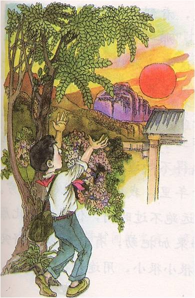 和时间赛跑（小学语文课文）