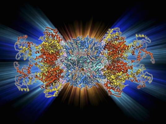 蛋白酶k（强力蛋白溶解酶）