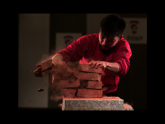 大力金刚掌(少林武学套路)