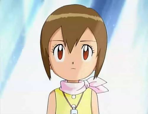 八神光(日本动画《数码兽大冒险》系列中的角色)