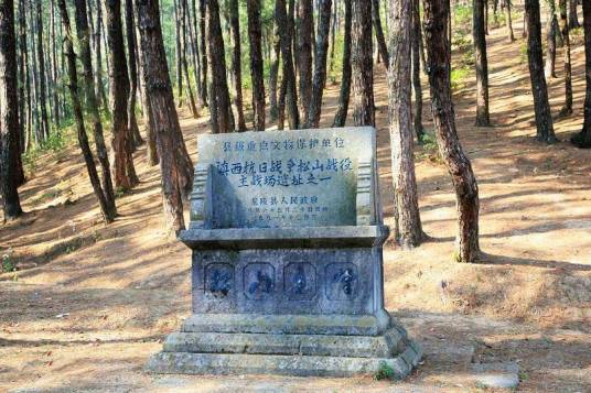 松山（云南省龙陵县松山）