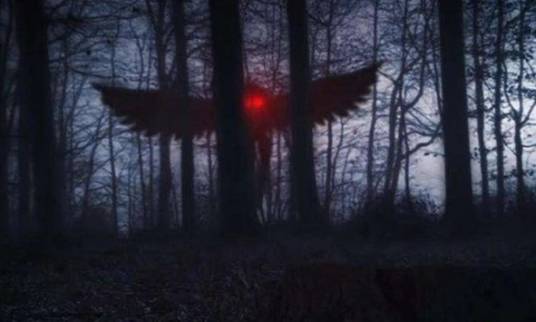 天蛾人（未经证实的不明生物）